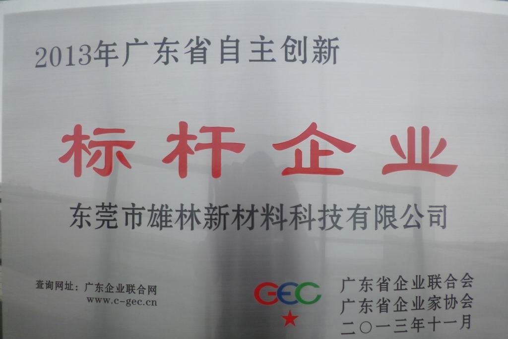 东莞市雄林新材料科技股份有限公司图片4